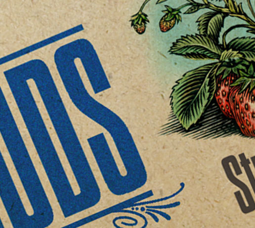 packaging concepts